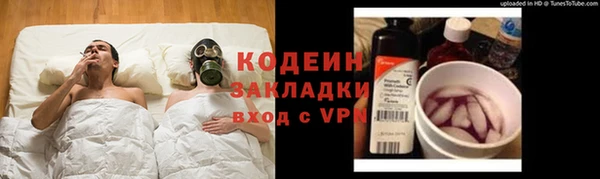 мяу мяу мука Дмитриев