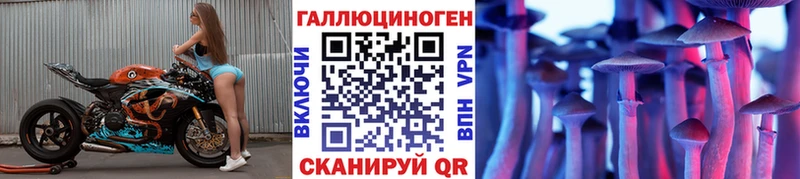Галлюциногенные грибы мицелий  закладки  Нахабино 